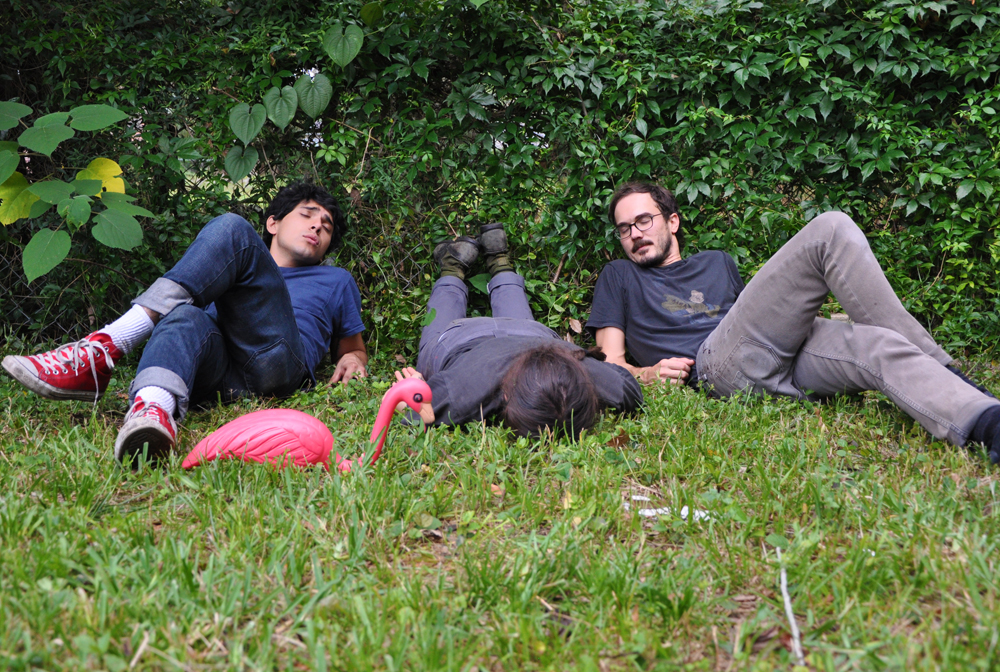 Holographic Teeth, Holographic Teeth Band, Holographic, Lizard People, Dog Faced, Gainesville Music, Gainesville Bands